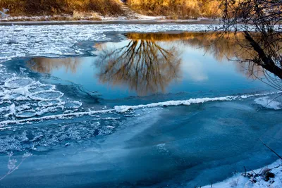 Дикая природа рек на фото: пейзажи, которые оставят вас без слоов.