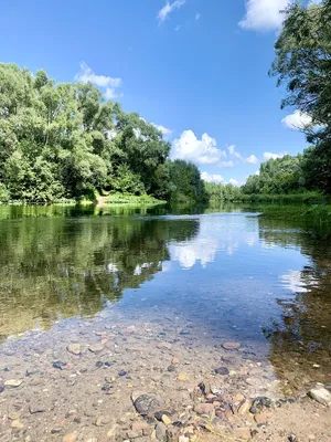 Волшебное сочетание воды и природы: фото рек, которые взорвут ваше воображение.