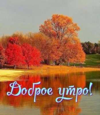 Утренняя природа: выберите размер и формат - JPG, PNG, WebP