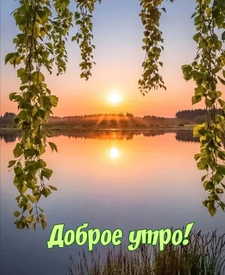 Утренняя природа: выберите изображение - JPG, PNG, WebP