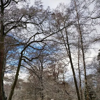 Весенние фотографии: вдохновение природой в марте