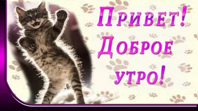    - Скачать бесплатно новые фото Привет доброе утро в формате JPG, PNG, WebP.