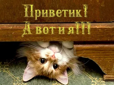 Фото, которые оставят вас в восторге!