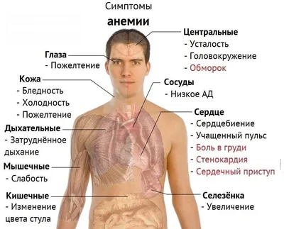 Изучение глистов: Выбор размера изображения и формата