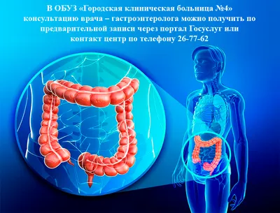 Признаки глистов у человека: Фото в различных размерах