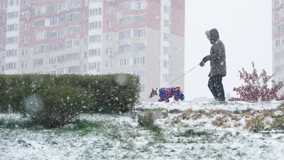 Зимний портрет: лица, украшенные каплями снега на фото