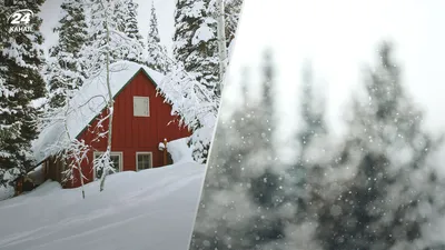 Зимние краски: Фотографии снежной природы