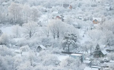 Снежные дорожки: Фотографии заснеженных тропинок