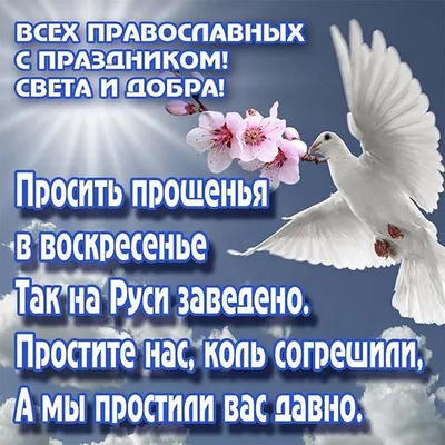 Лучшие смешные картинки для Прощеное воскресенье: скачать бесплатно в HD, Full HD, 4K