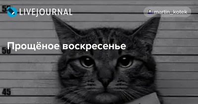 Загляните в Прощеное воскресенье смешных фотографий