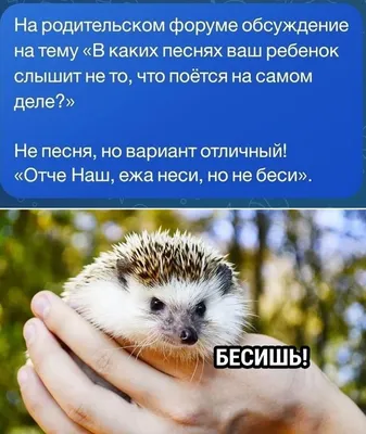 Фото: Улыбнитесь!