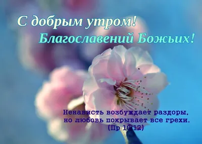 Утренние изображения для вдохновения