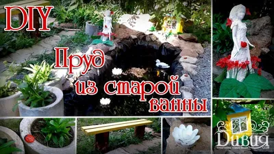 Фотографии Пруда из ванны, которые погружают в атмосферу природы