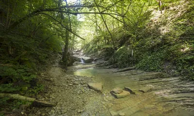 Загадочная сила воды: удивительные Пшадские водопады