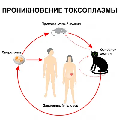 Путешествие по эмоциям: Фото психически больных людей