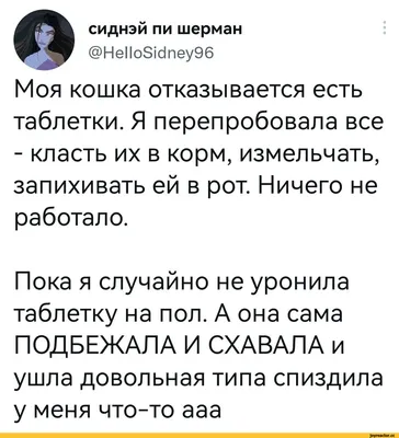 Скачать бесплатно смешные картинки в хорошем качестве