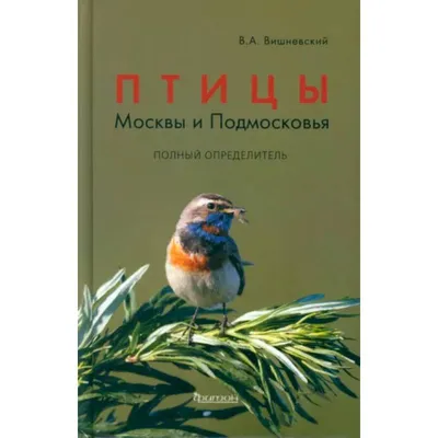 Полетаем с птицами Москвы на нашей странице