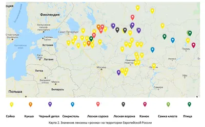 Фотография ронжи: волшебство в небесах