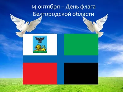 Большой выбор фотографий птиц Белгородской области: скачивайте бесплатно в любом формате