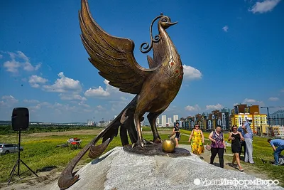 Фотографии уникальных птиц Екатеринбурга в формате jpg