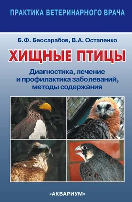 Птицы хищники на снимках: искусство охоты и приспособления