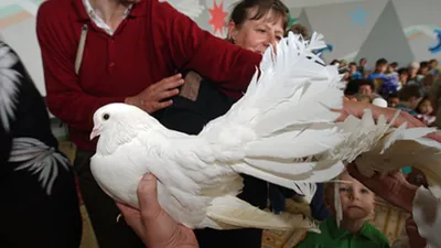 Редкие сажени в объективе фотоаппарата: Курганская область