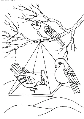 Прекрасные обитатели: птицы на кормушке в формате jpg