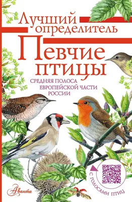 Картинки птиц России: особенности и уникальность