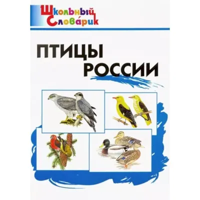 Изображения птиц России для печати на постере