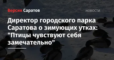 Изображения удивительных птиц саратовской области