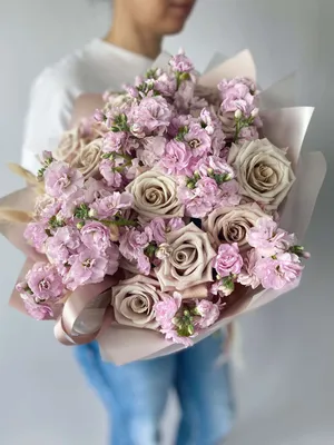 Изящные пудровые розы на фото: разные размеры доступны