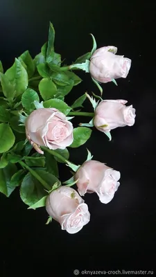 Розы в пудровых тонах: картина истинной красоты