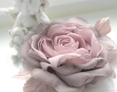 Фото, изображение или картинка: пудровые розы во всей красе