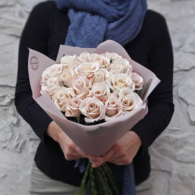 Фото пудровых роз: красота, недостижимая словами