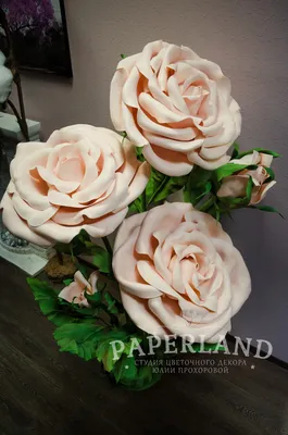 Фото пудровых роз: великолепие красоты