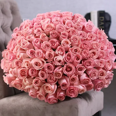 Букет пудровых роз на фото: выберите размер