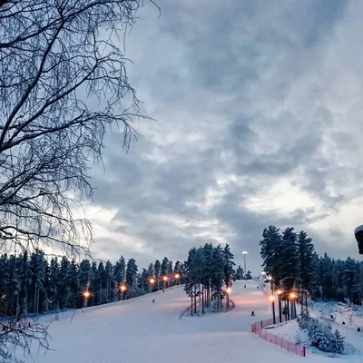 Уникальные снимки Пухтоловой горы для бесплатного скачивания