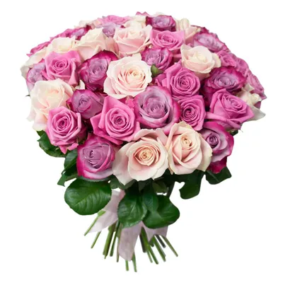 Фотография пурпурной розы с эффектом webp
