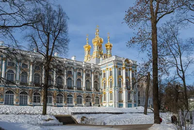 Зимний Пушкин: Фото в разных размерах для загрузки