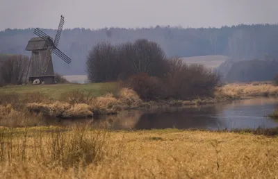 Фото Пушкинских гор Михайловское: красивые фоны для экрана