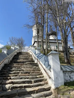 Путешествие в мир Пушкинских гор: фотографии уникальной природы