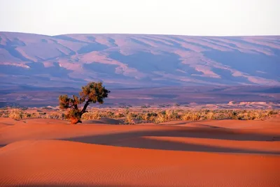 Фото пустыни Африки в высоком разрешении