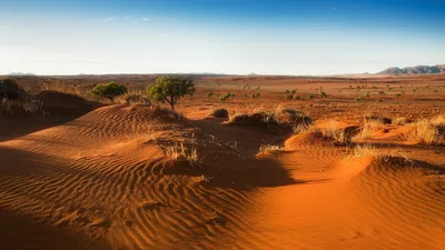 Фотографии пустынь Африки: величественные пейзажи и удивительные виды