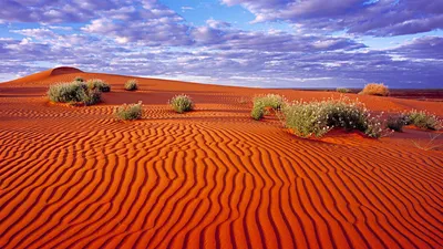 Фото Пустыни Австралии в высоком разрешении