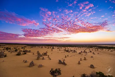 Фотографии пустыни Австралии: природное наследие великого континента