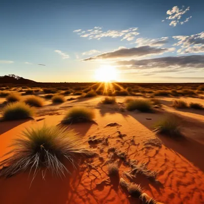 Пустыня Австралии на фотографиях: красота, которая оставляет без слов