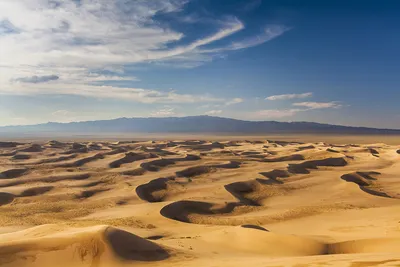 Пустыни гоби  фото