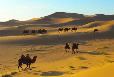 Пустыня Гоби: Фото в разных размерах