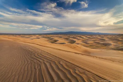 Уникальные снимки Пустыни Гоби в формате 4K