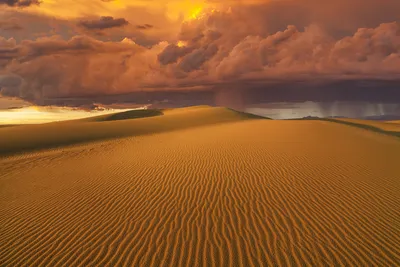 Фото пустыни Гоби: величественные песчаные дюны